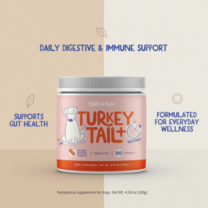 Turkey Tail Daily Digestive & Immune Support for Dogs